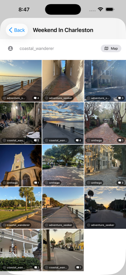 Album grid
